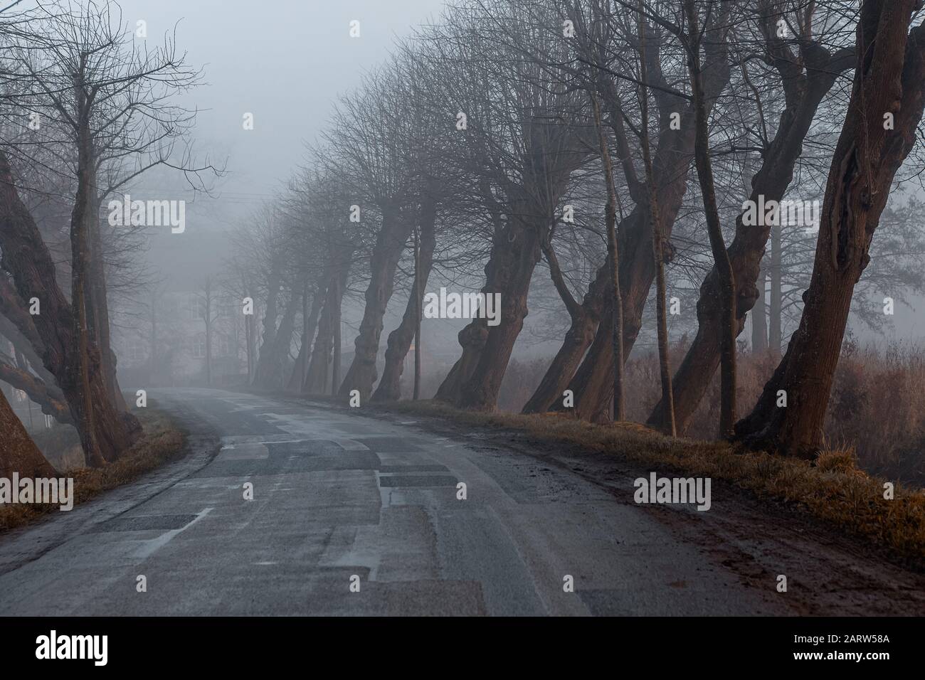 Foggy day hi-res stock photography and images - Alamy