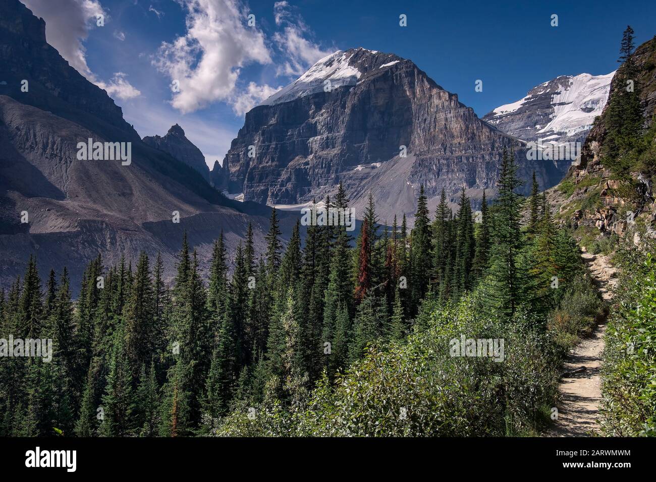 Track to The Plain of the Six Glaciers above Lake Louise, Banff National Park, The Rockies, Alberta Canada Stock Photo