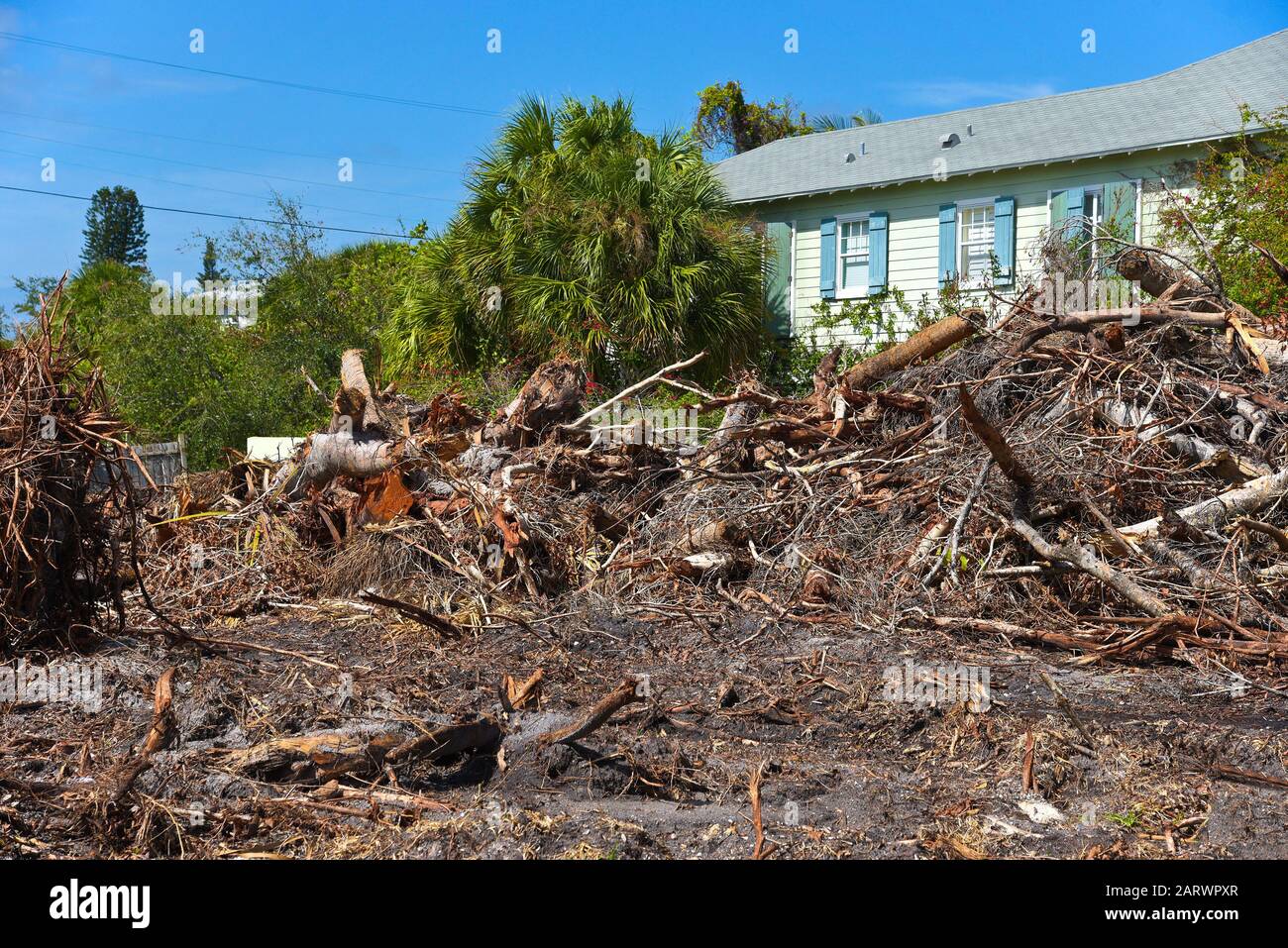 ANNA MARIA ISLAND, FL - October 2, 2017:Aftermath of Hurricane Irma on Anna Maria Island, Florida. Piles of Trees, Branches and debris remain to be cl Stock Photo