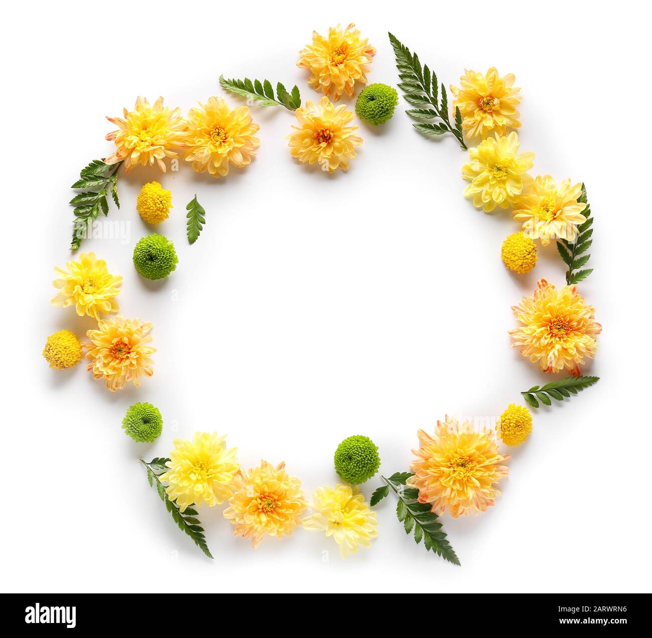 Frame made of beautiful flowers on white background Stock Photo - Alamy