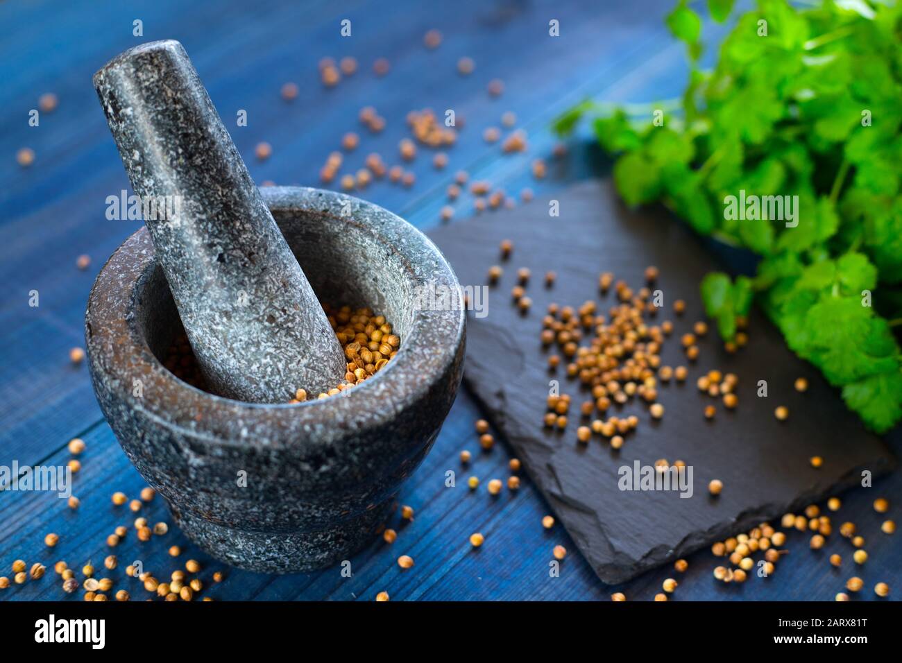 cilantro coriander seeds and leaves with granite mortar Stock Photo