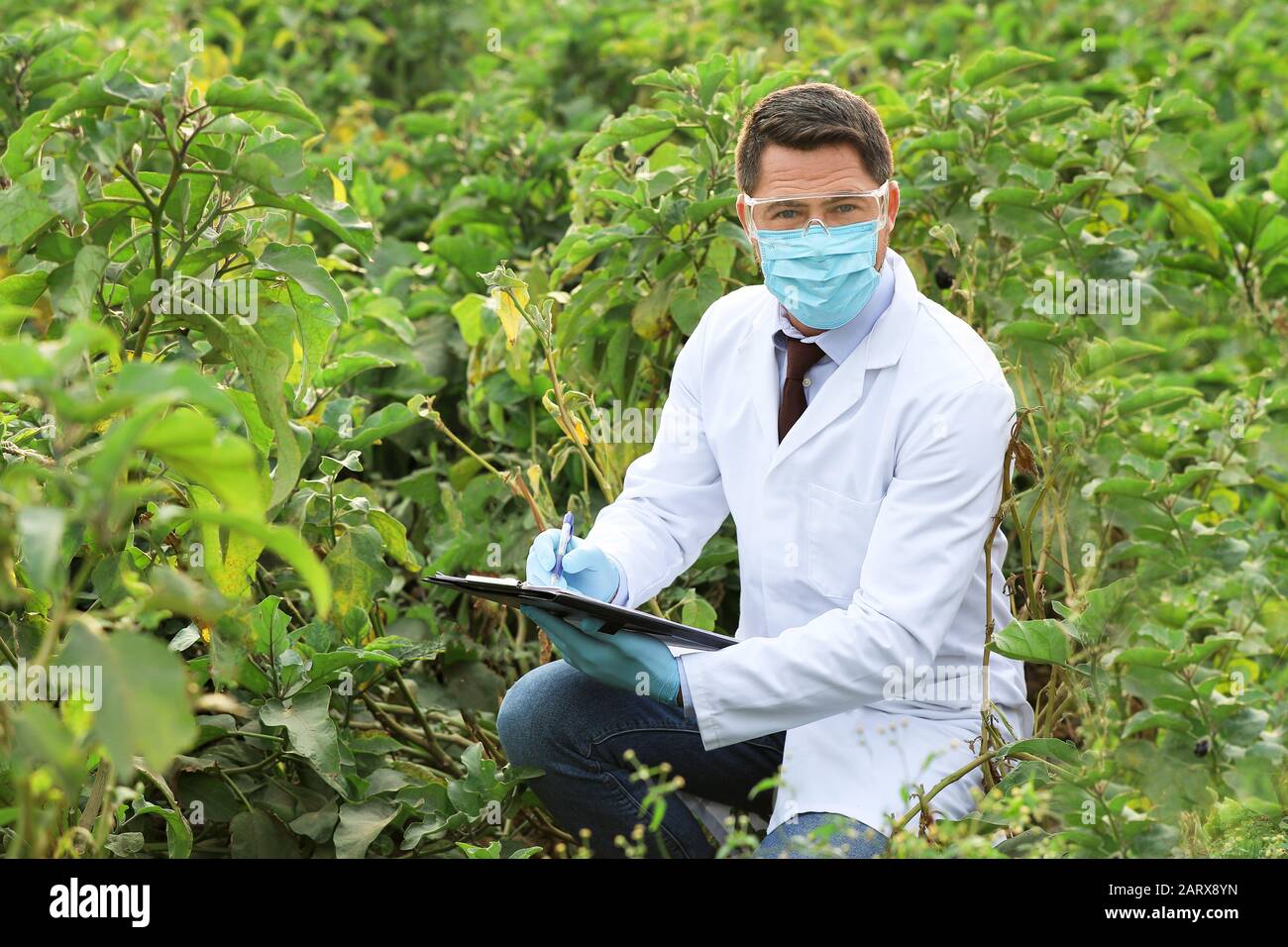 Man engineer checking documents hi-res stock photography and images - Alamy