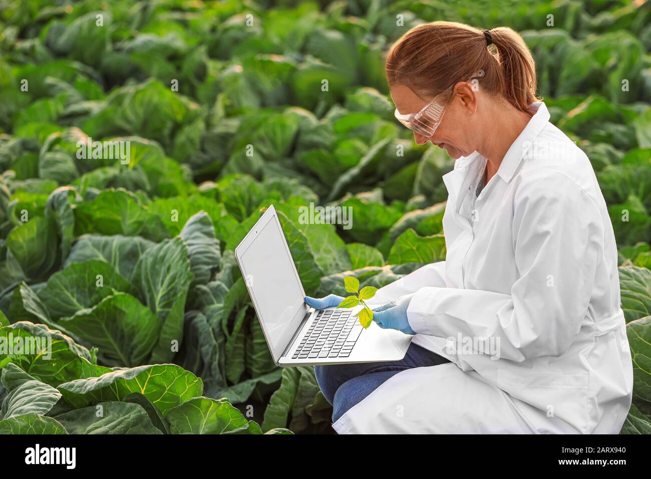 Female agricultural engineer working in field Stock Photo Alamy