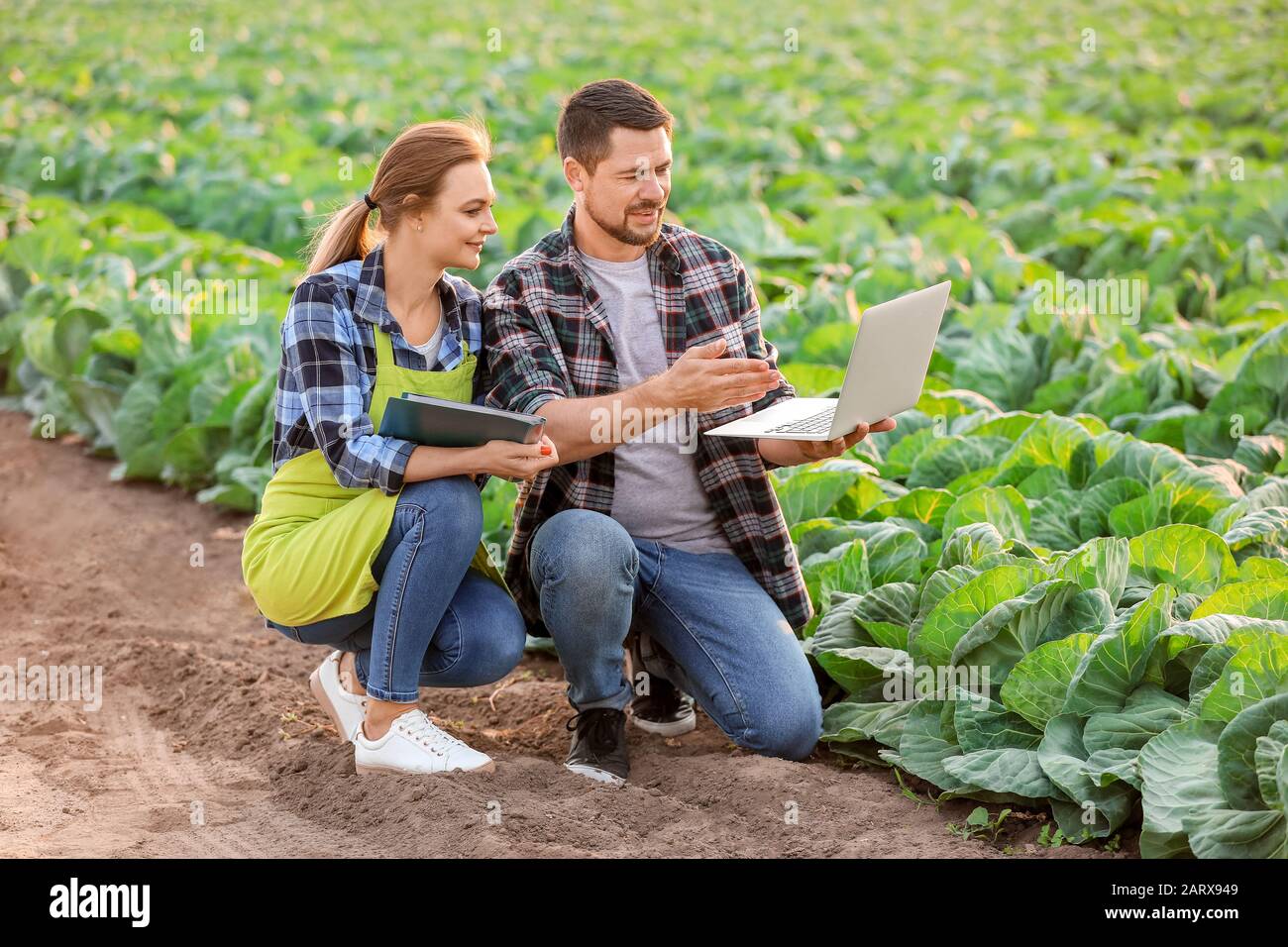 Agricultural engineers working in field Stock Photo Alamy