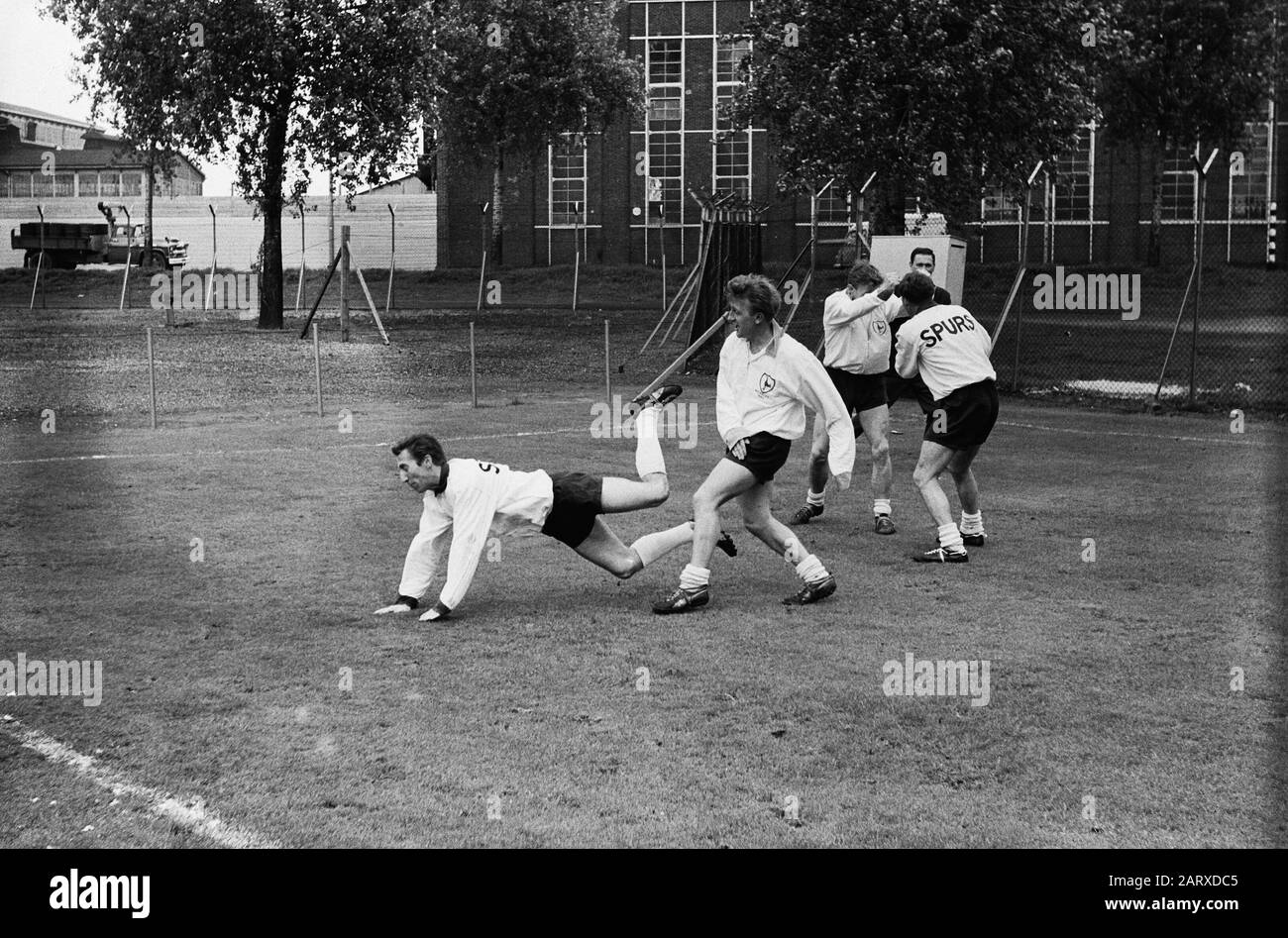 spurs trainers