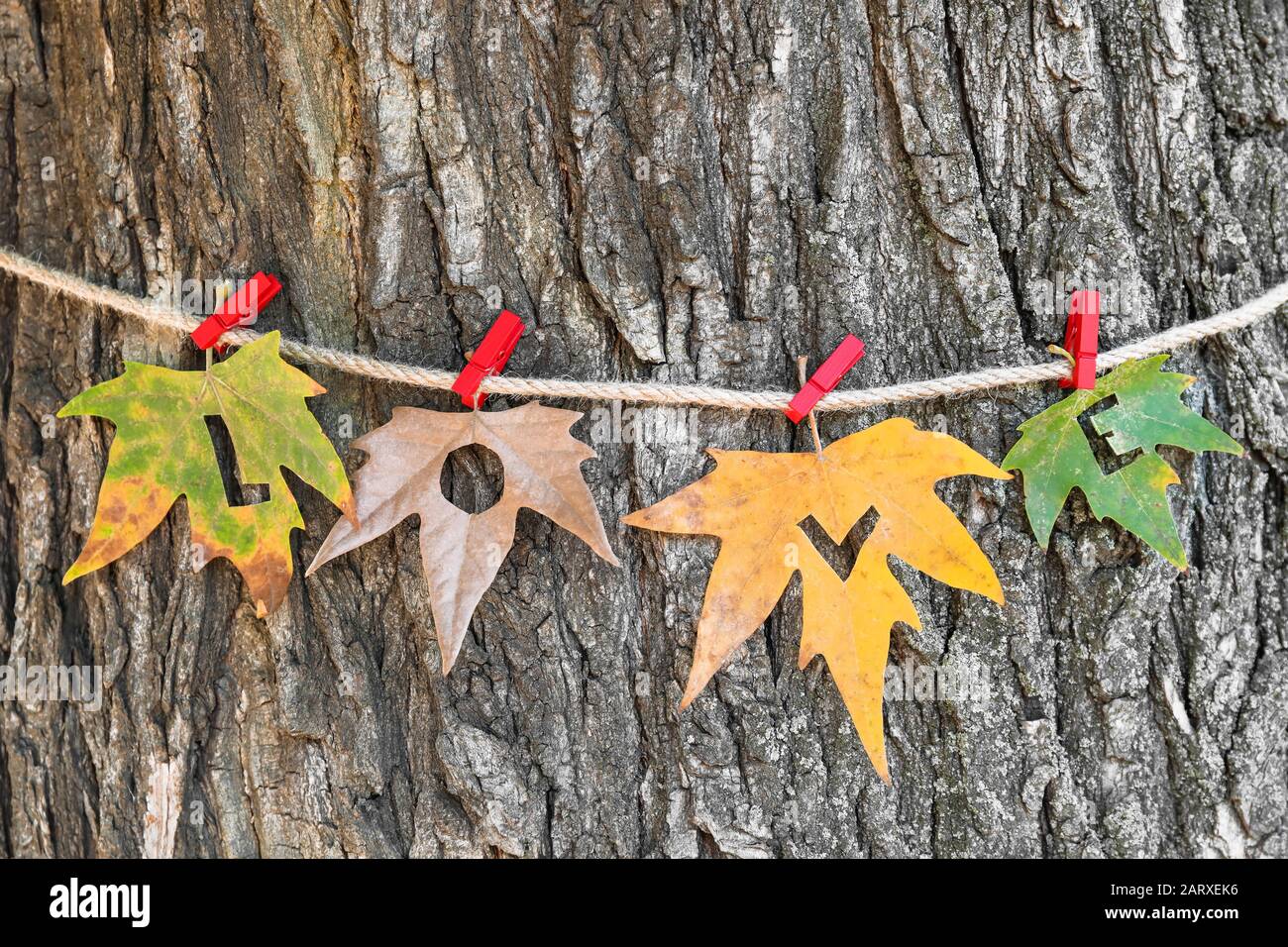 Creative tree leaves hanging hi-res stock photography and images - Alamy