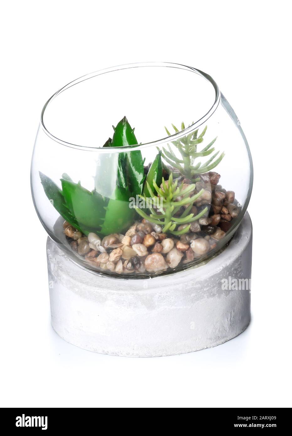 Glass vase with plants on white background Stock Photo - Alamy