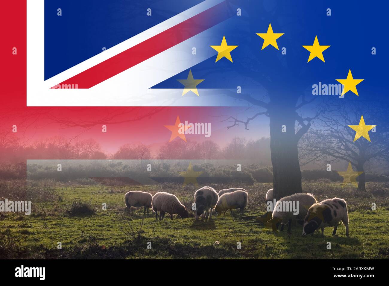 Brexit concept. A field with a flock of sheep. With the flags of the Union Jack and the E.U over layered on top. Stock Photo