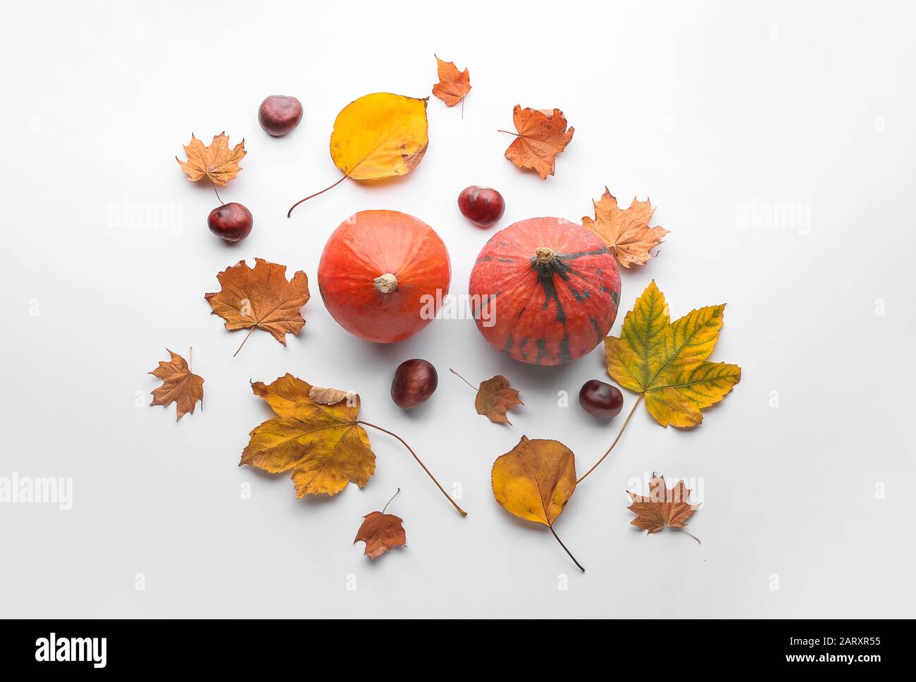Composition with autumn leaves and pumpkins on white background Stock ...