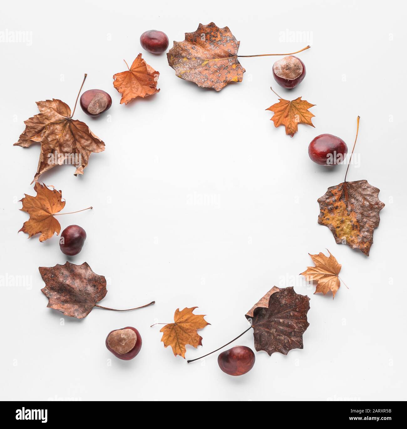Frame made of autumn leaves on white background Stock Photo - Alamy