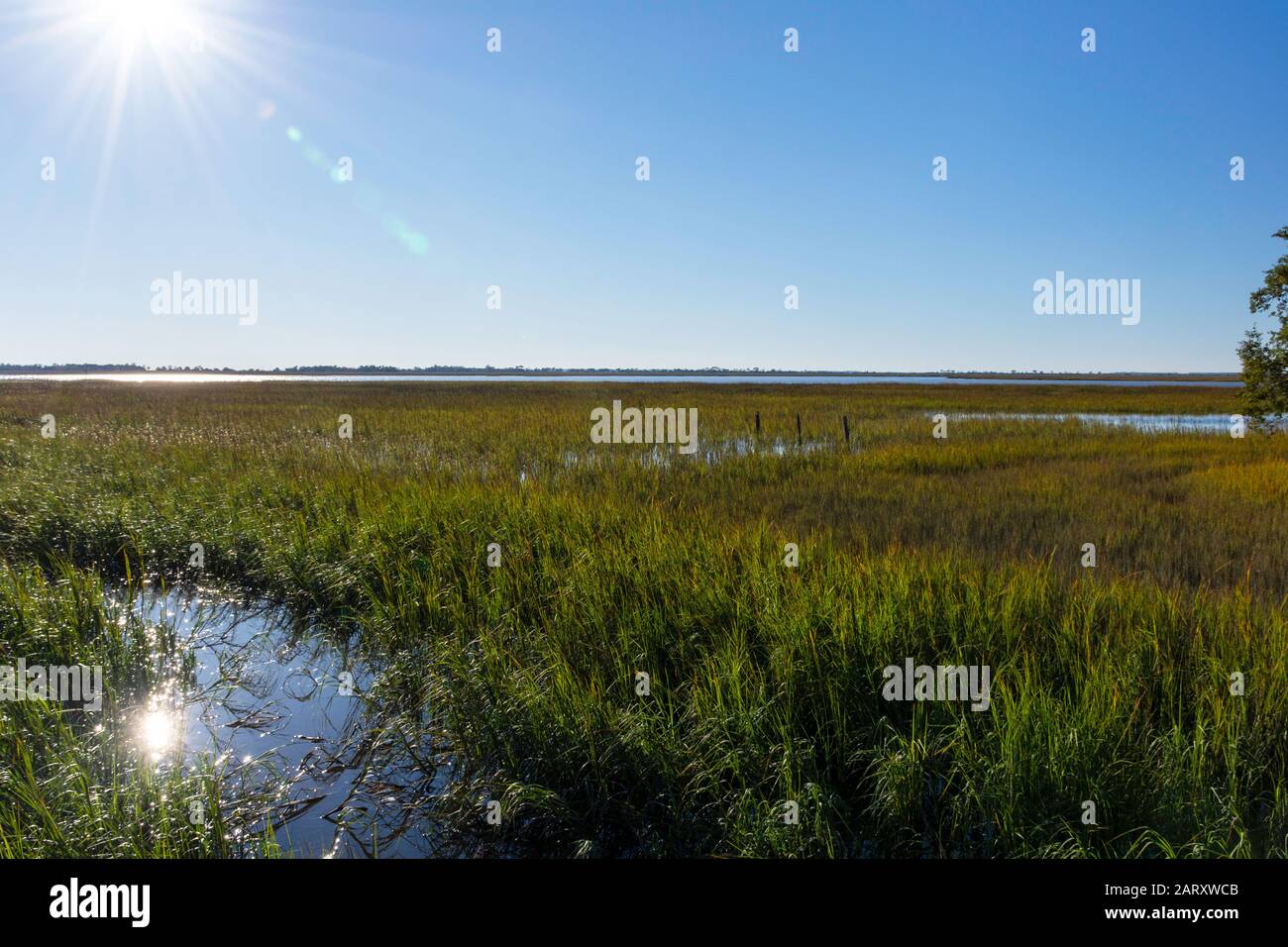 A beautiful landscape background of the lowcountry salt marsh off Jekyll Island, coastal Georgia, USA, a luxury slow travel destination in the South. Stock Photo