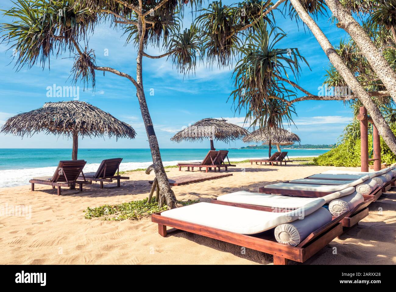 Beach beds with umbrellas on the tropical sunny beach in Sri Lanka. Scenic idyllic view of a sand beach with palm trees in tropic. Beautiful sea resor Stock Photo