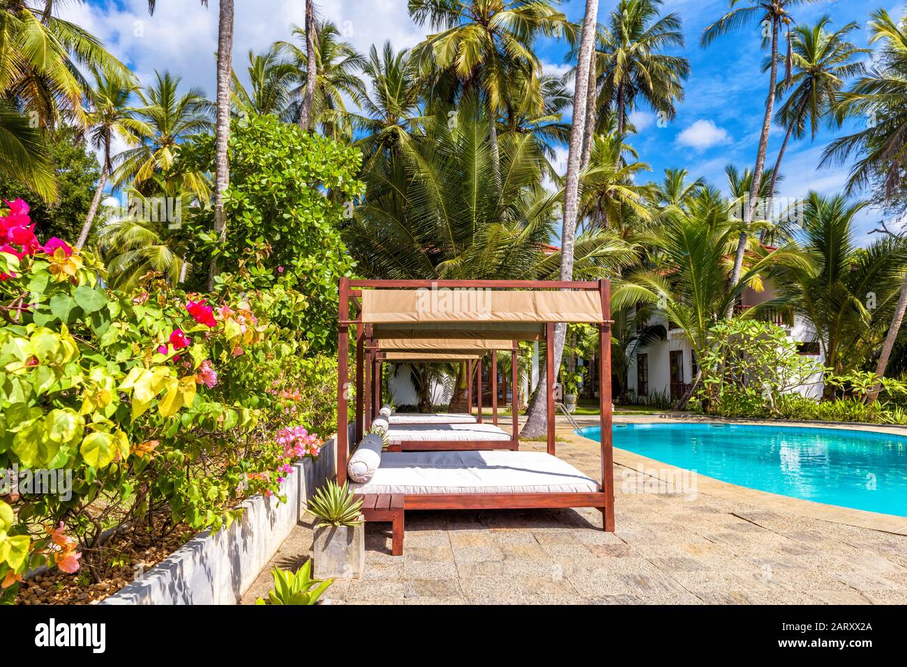 Swimming pool and beach beds in a tropical hotel Stock Photo Alamy