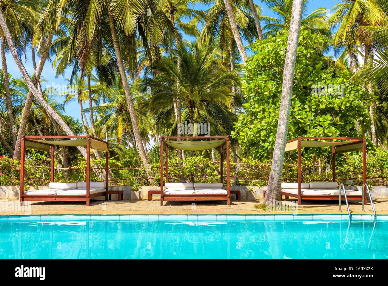 Swimming pool and beach beds in a tropical hotel, Sri Lanka Stock Photo