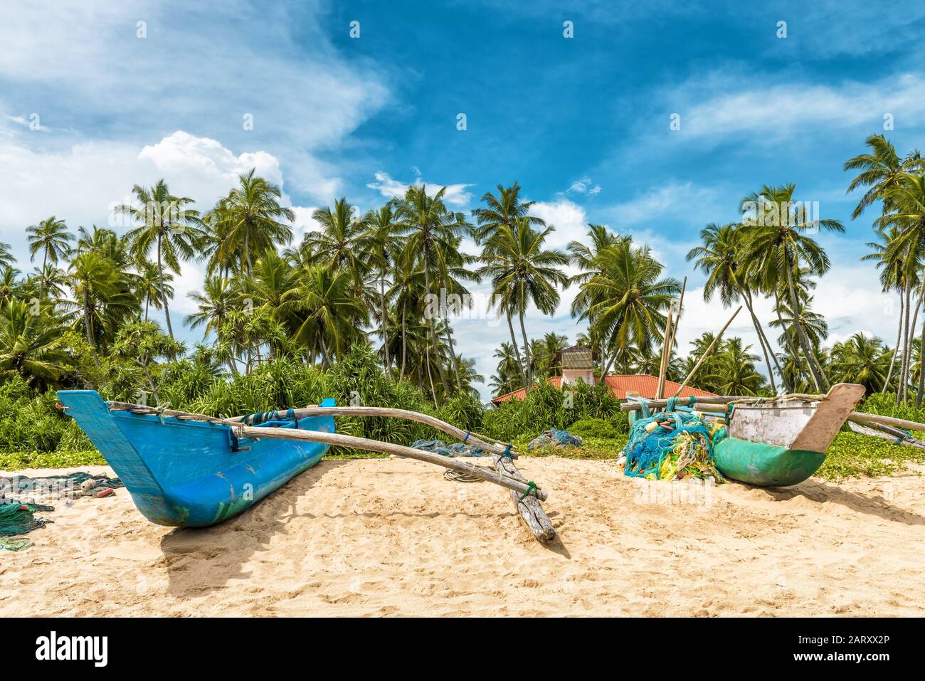 Old traditional fishing boats on the beach in Sri Lanka. View of the tropical beach with coconut palms. Stock Photo