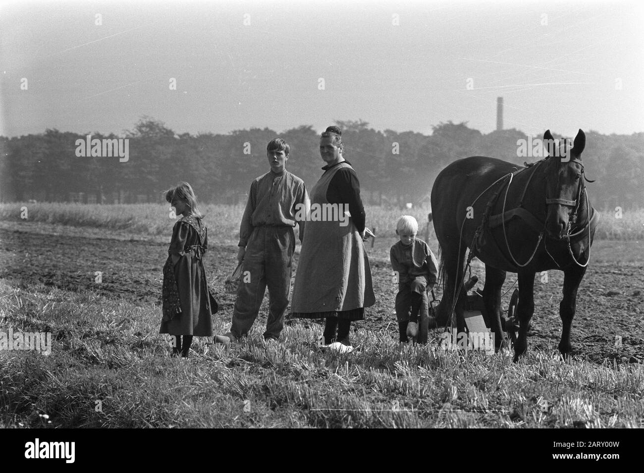TV recordings for series Darryl, Jaap Schadenberg as Darryl with stepmother and little brother and sister at horse Date: August 31, 1972 Keywords: TV recordings Personal name: BARTJE, Jaap Schhadenberg Stock Photo