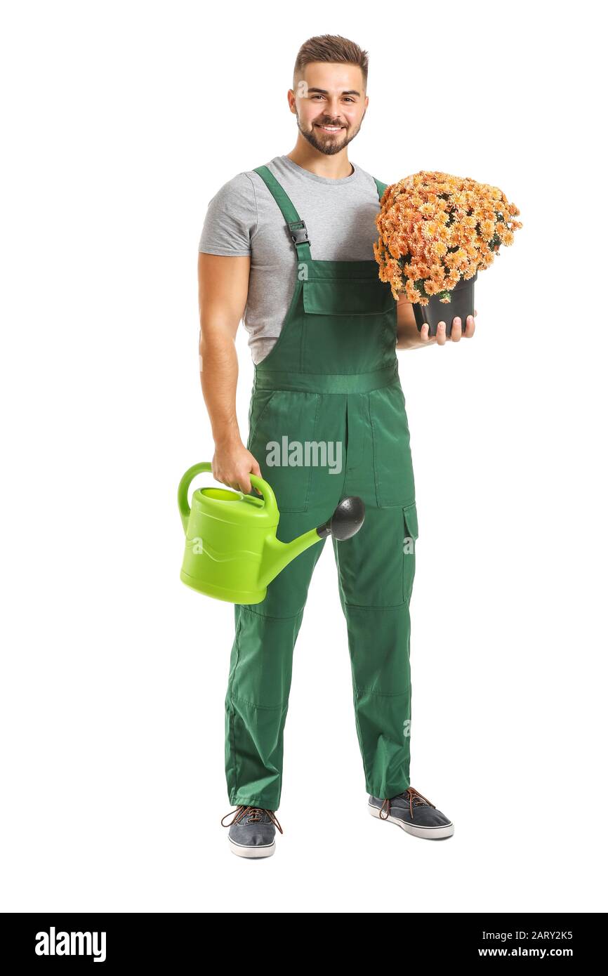 Handsome male gardener with watering can and plant on white background ...