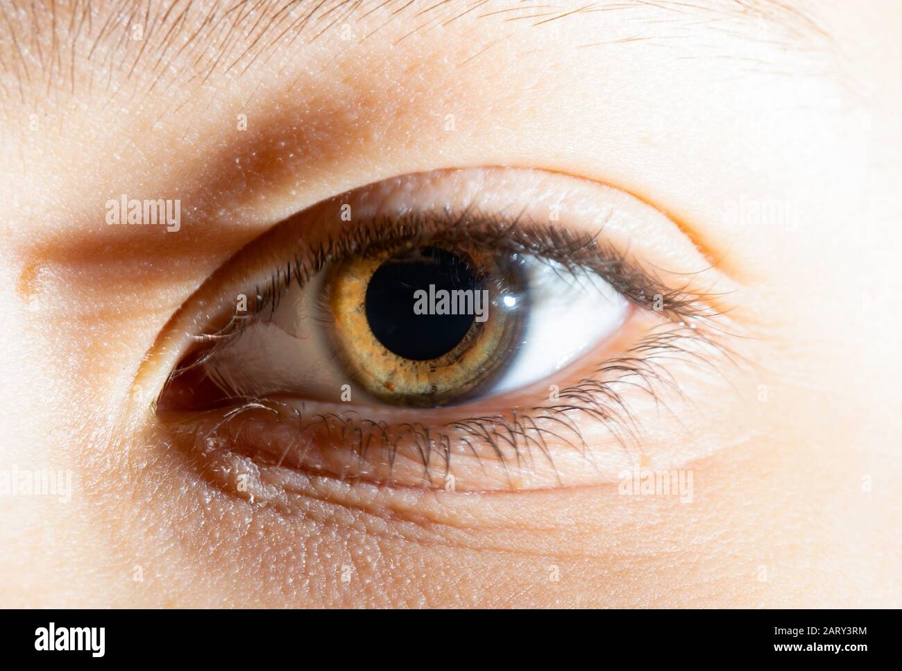 Child's eye. Close up photo. Stock Photo