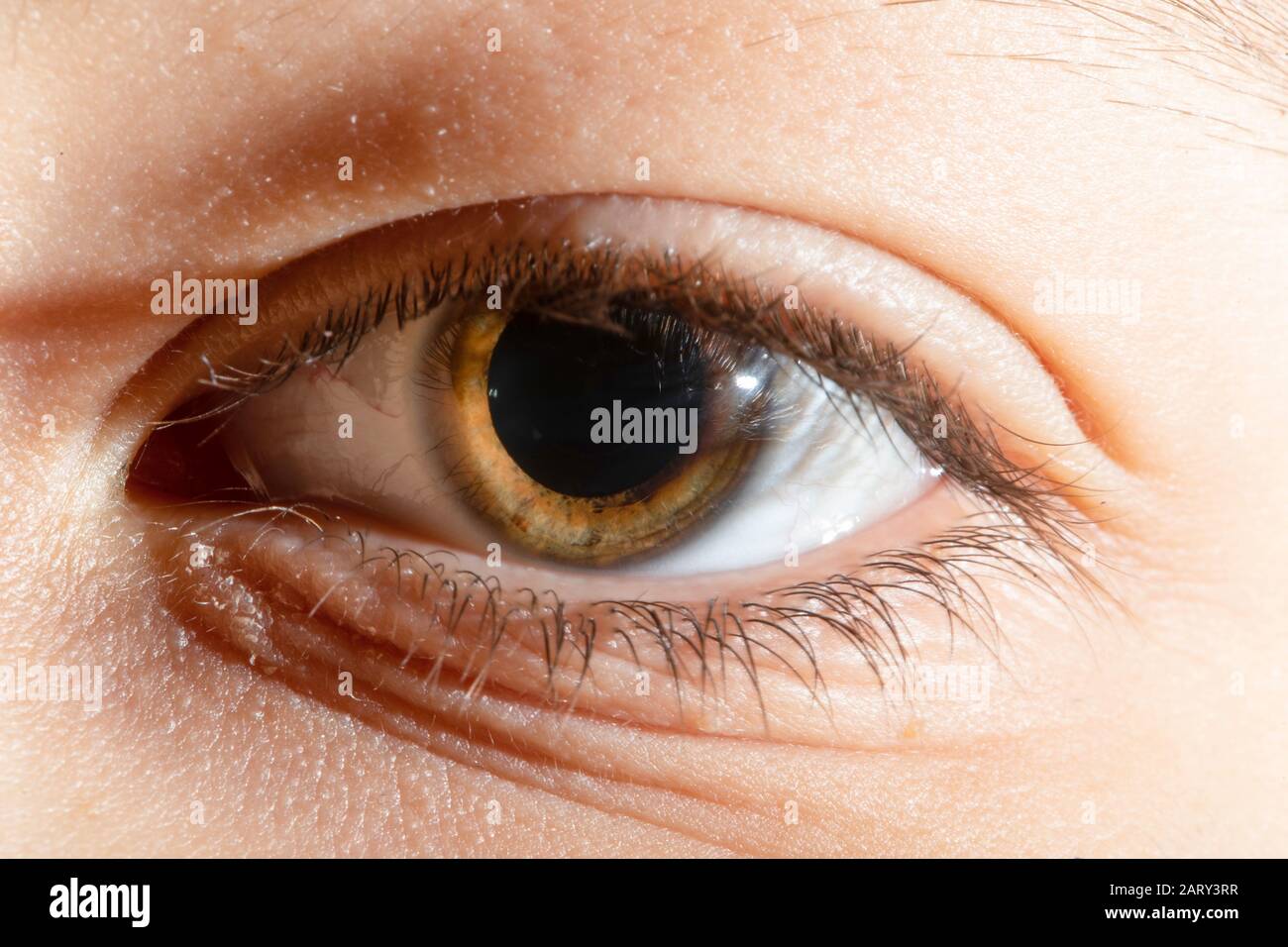 Child's eye. Close up photo. Stock Photo