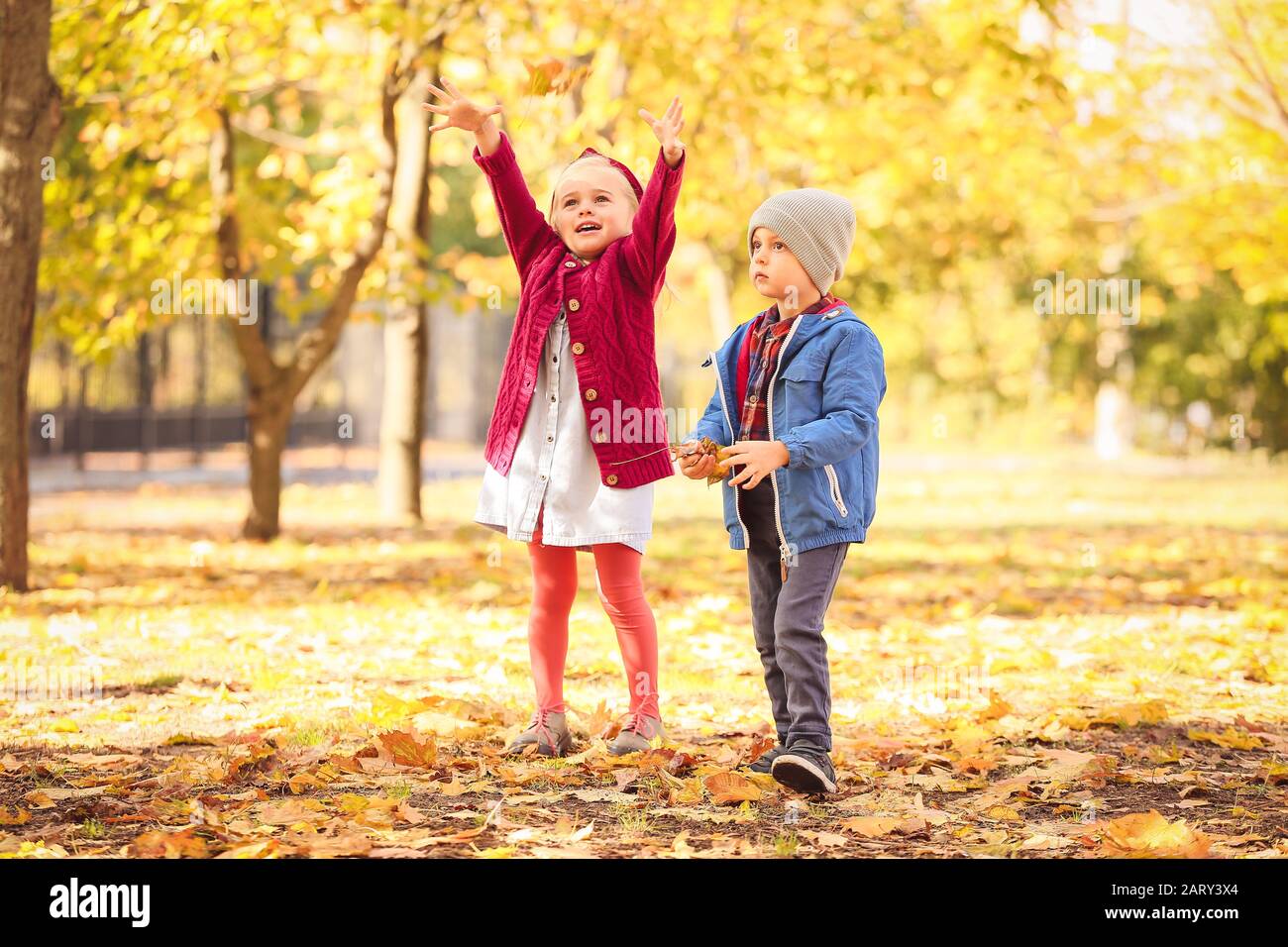 Cute little children having fun in autumn park Stock Photo