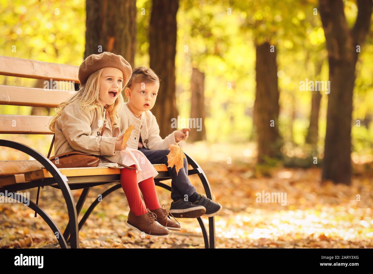 Cute little children sitting on bench in autumn park Stock Photo