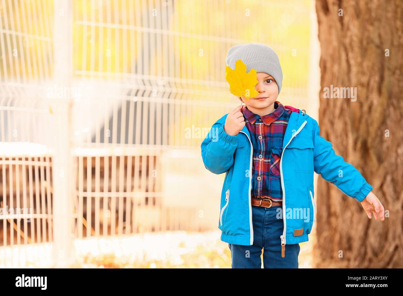 Cute little boy with leaf in park on autumn day Stock Photo - Alamy