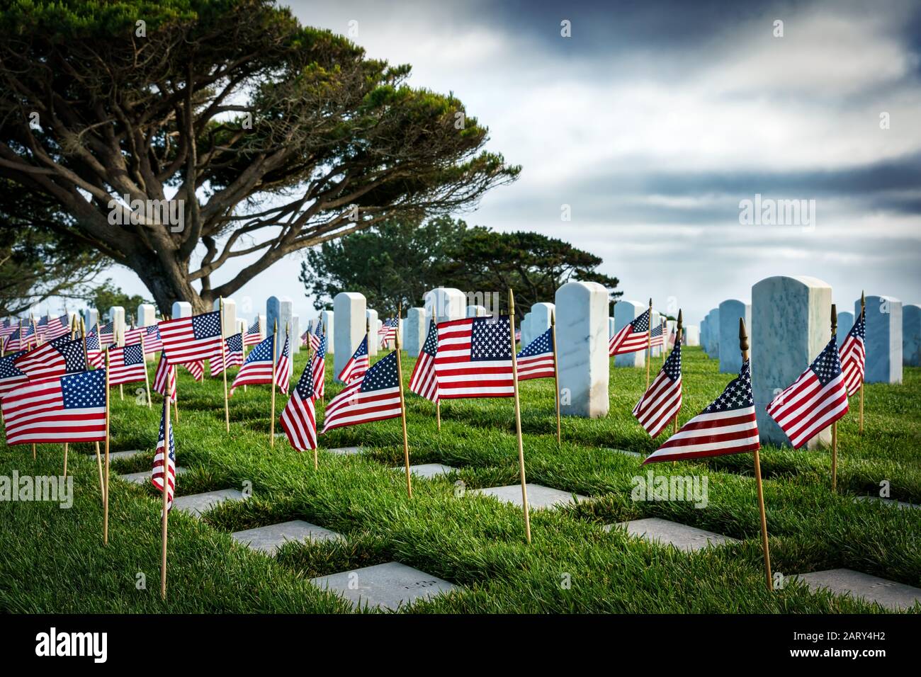 Flags over the graves of veterans on Memorial Day at a southern