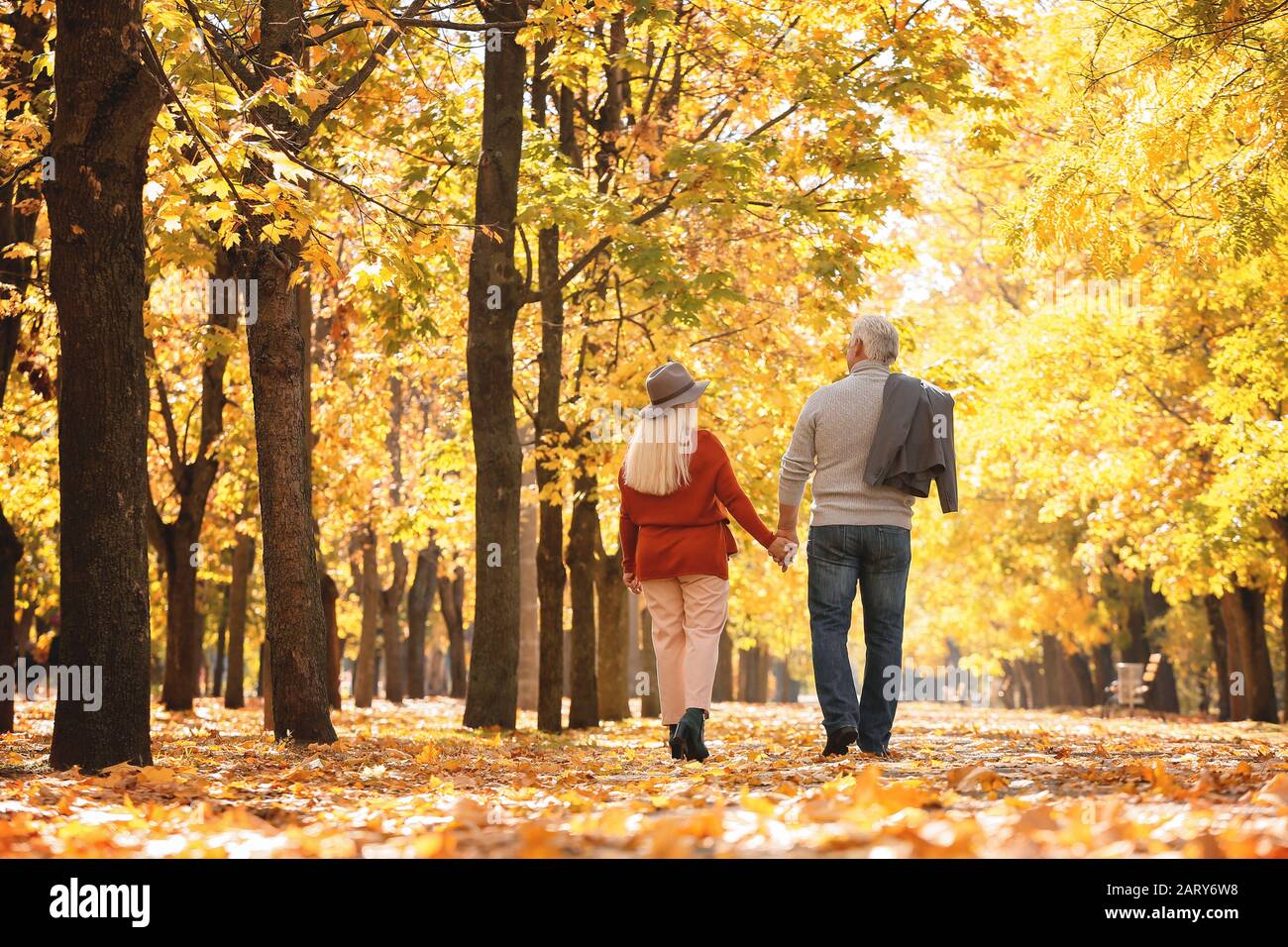 Mature couple holding hands leaves hi-res stock photography and images ...