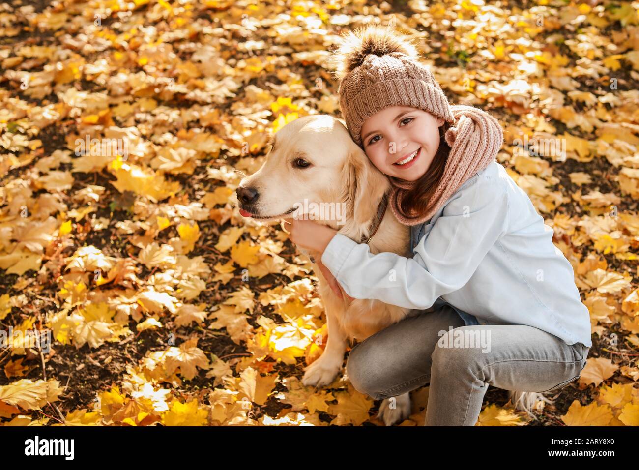 Little girl with cute dog in autumn park Stock Photo - Alamy