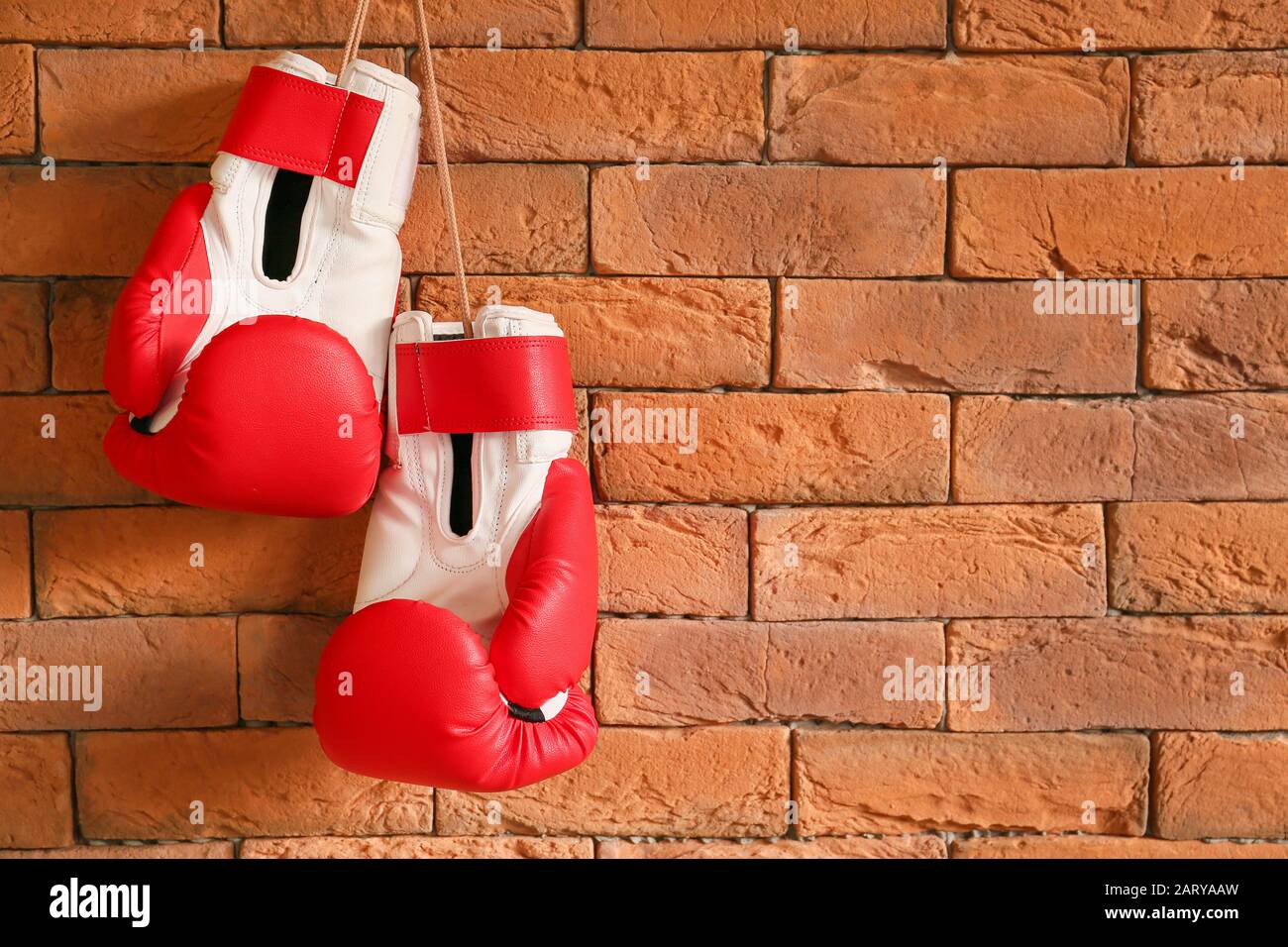 Boxing gloves hanging on brick wall Stock Photo Alamy