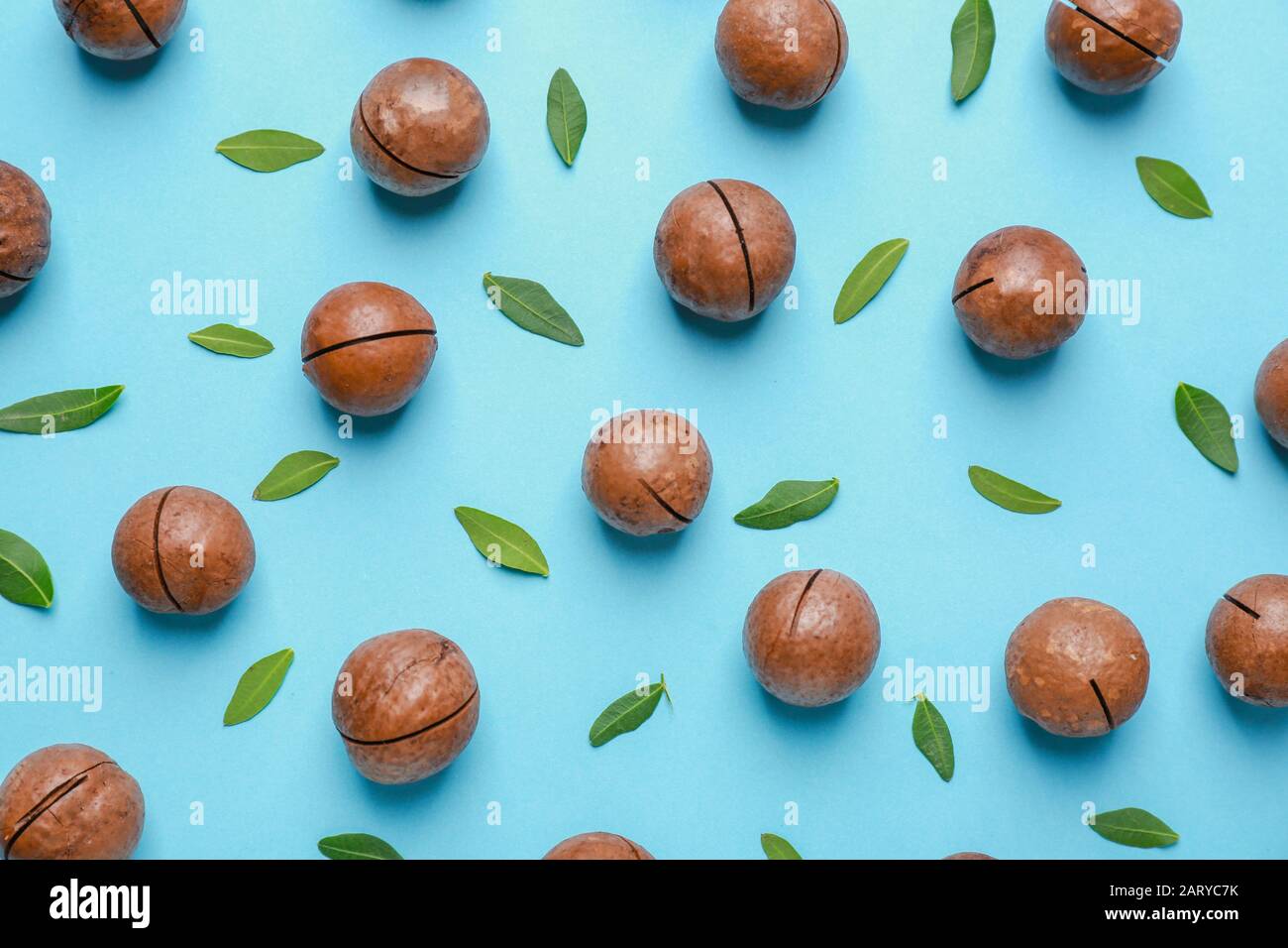 Tasty macadamia nuts on color background Stock Photo