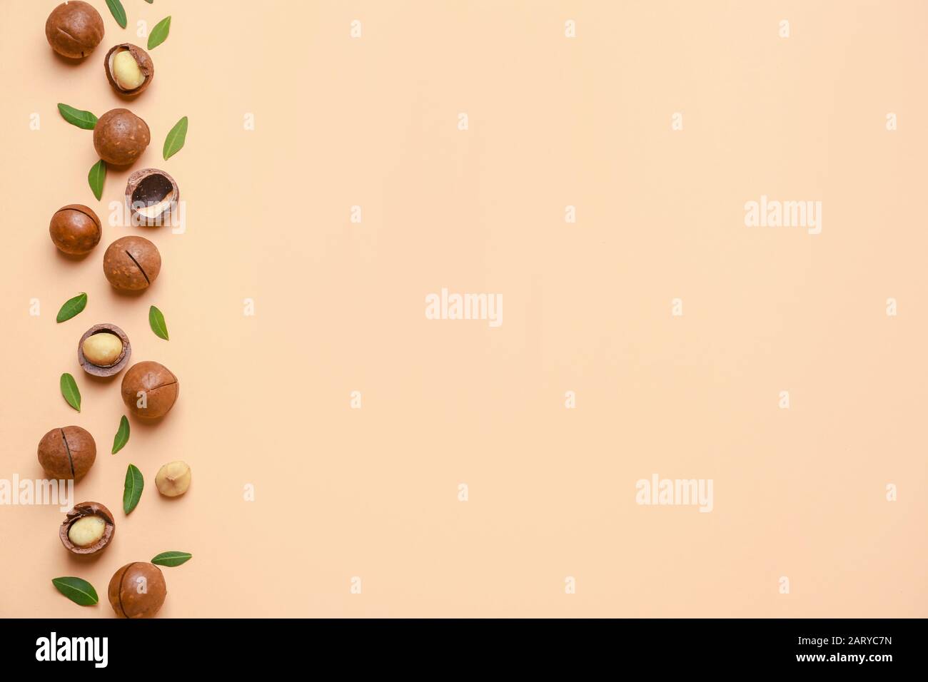 Tasty macadamia nuts on color background Stock Photo