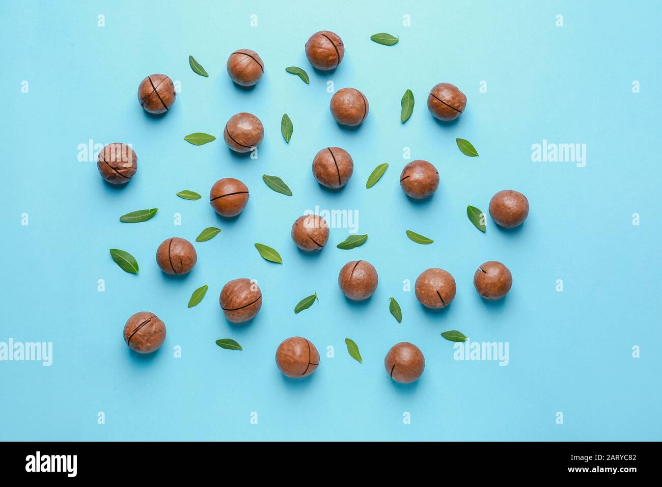 Tasty macadamia nuts on color background Stock Photo