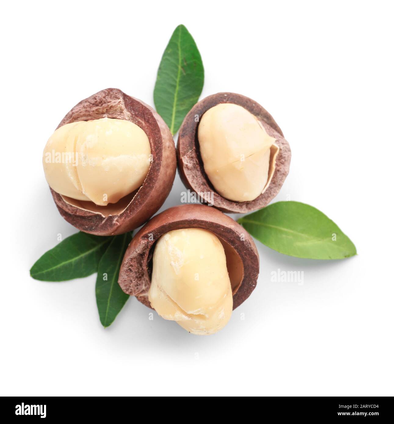 tasty-macadamia-nuts-on-white-background-2ARYCD4.jpg