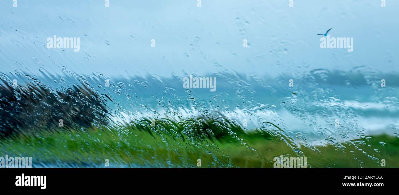 Veiw through car window screen distorted and blurred with falling rain drops out over grassy cliff edge to stormy sea and seagull. Stock Photo