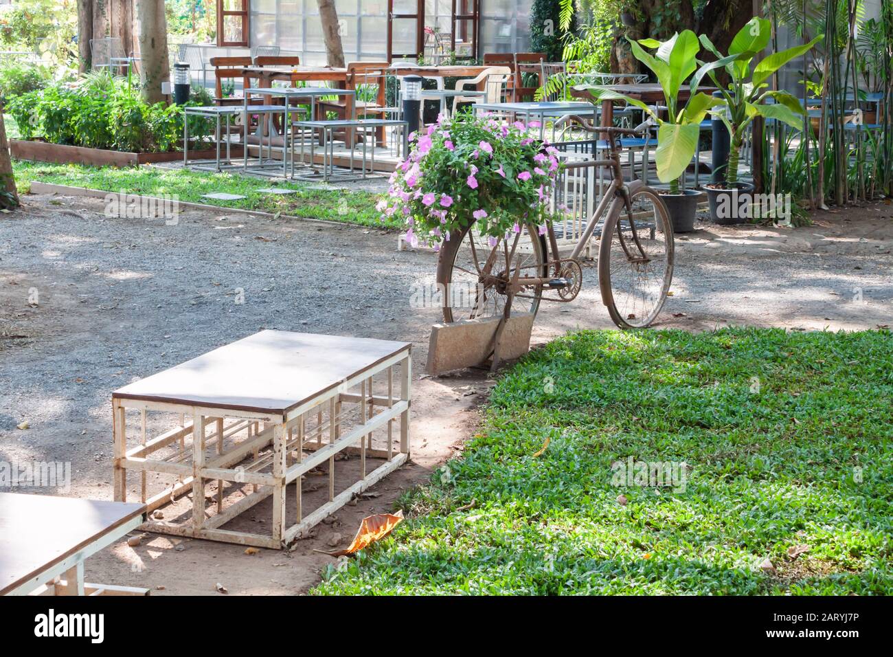 Garden decorated in coffee shop, stock photo Stock Photo