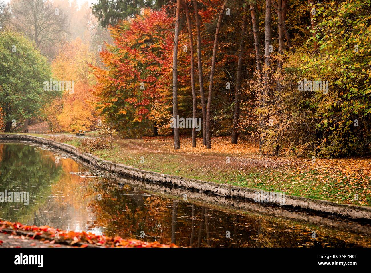 View of beautiful autumn park with lake Stock Photo - Alamy