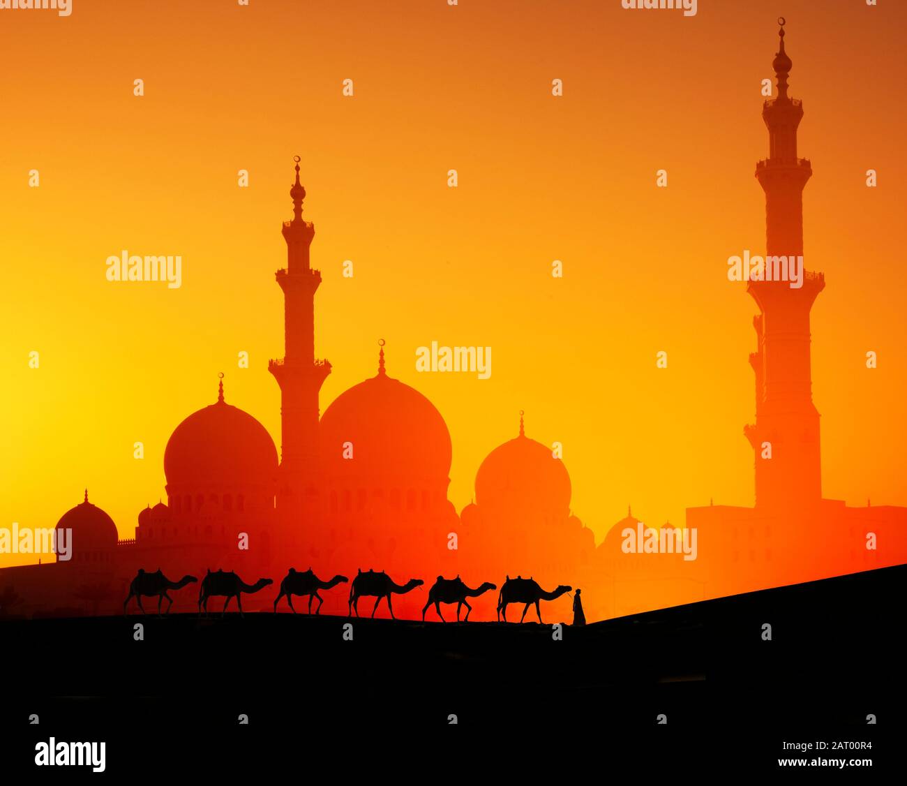 Man with camels in front of Sheikh Zayed Mosque at sunset in Abu Dhabi, United Arab Emirates Stock Photo