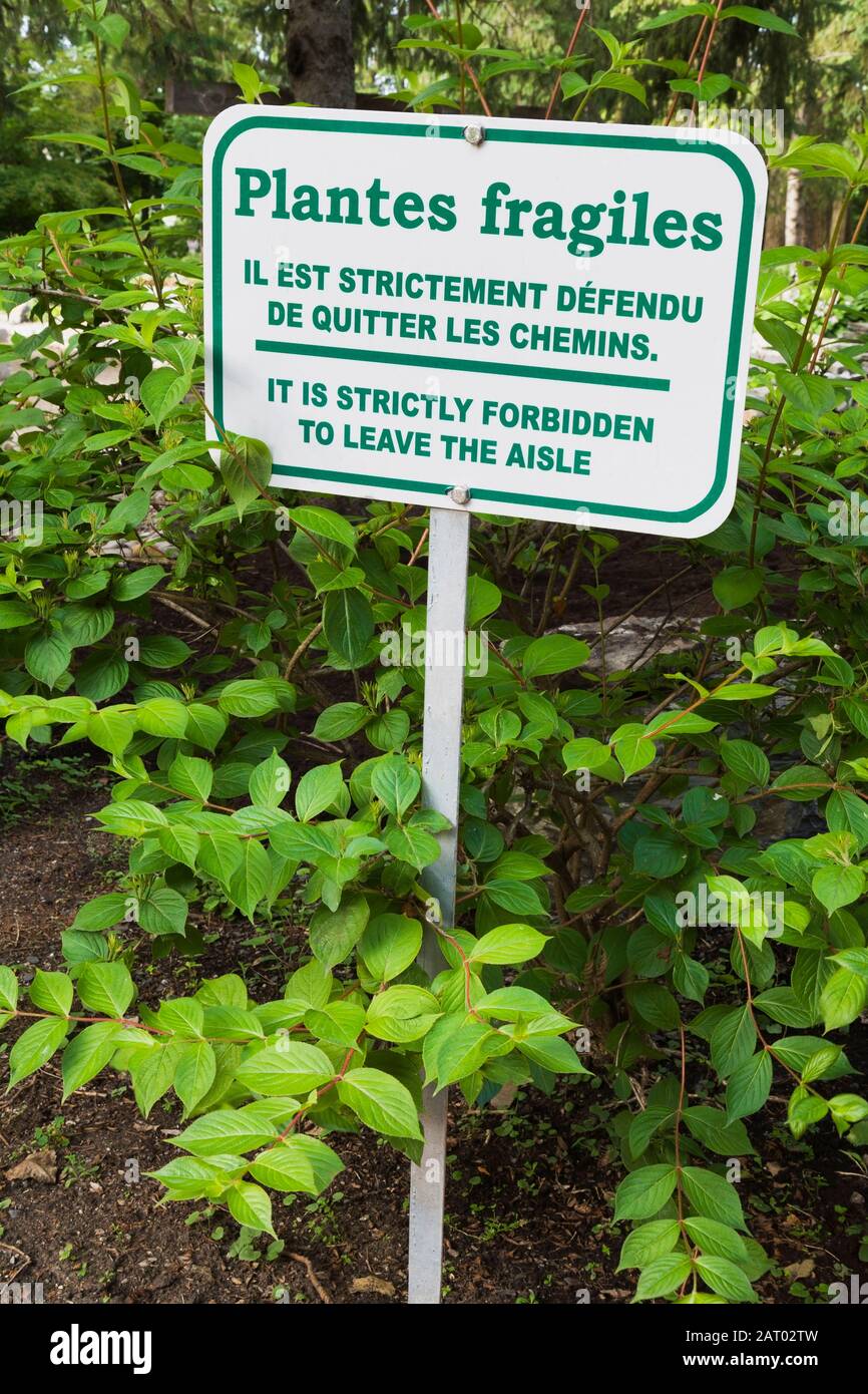 Green lettered on white background bilingual French and English fragile plants warning metal signpost in border next to path Stock Photo