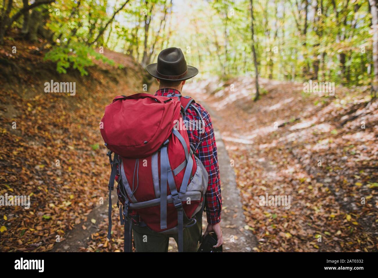 Man camera forest rear hi-res stock photography and images - Alamy