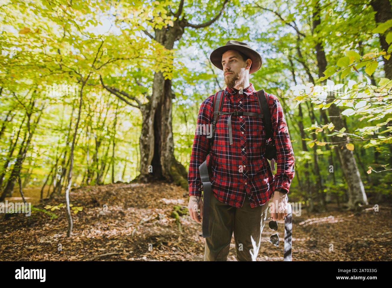 Man wearing red shirt in forest Stock Photo