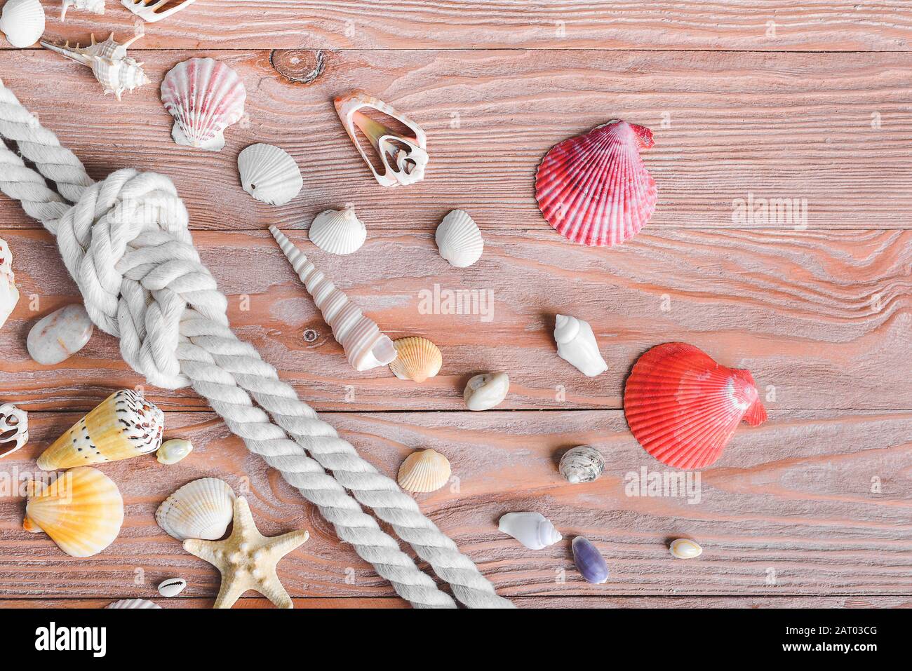 Rope and shells hi-res stock photography and images - Alamy