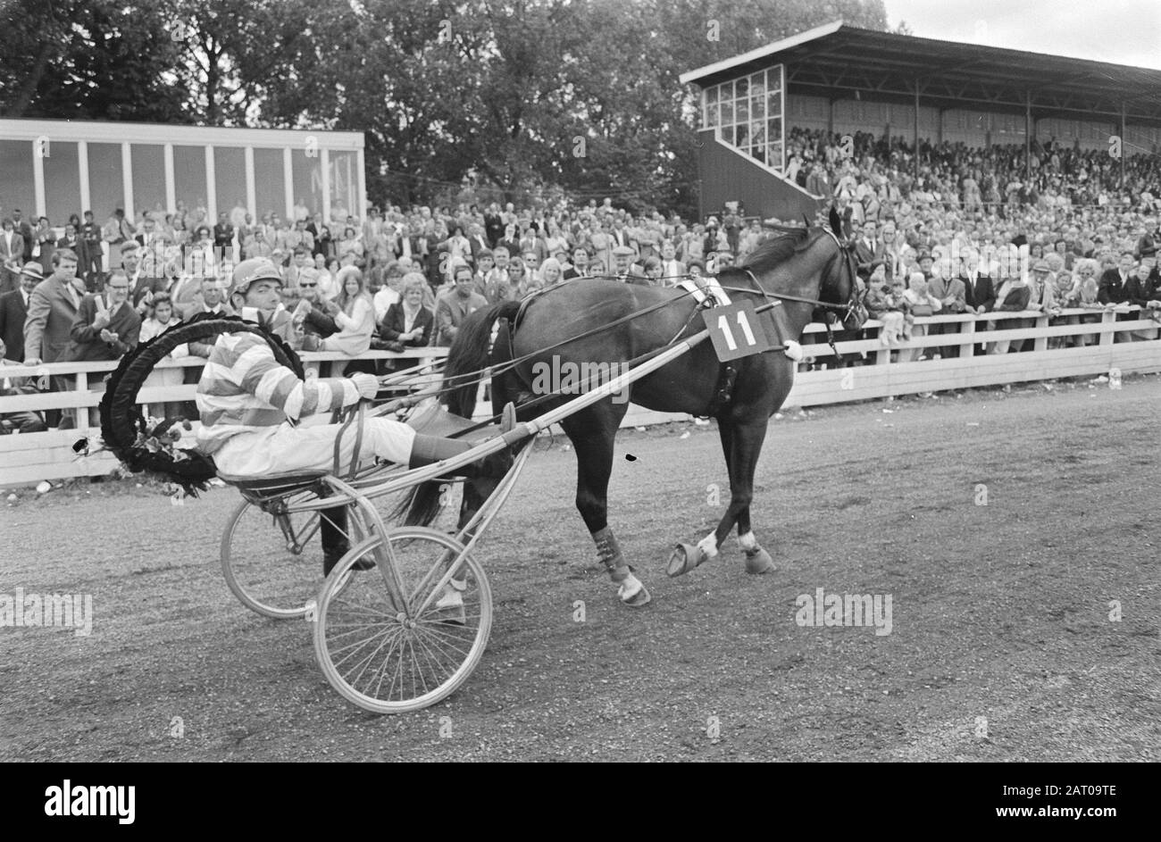 70年代 イギリスの競走馬 雑誌「The British Racehorse」 The Road to Glory: The Triple Crown Trail in 1919 - Past The