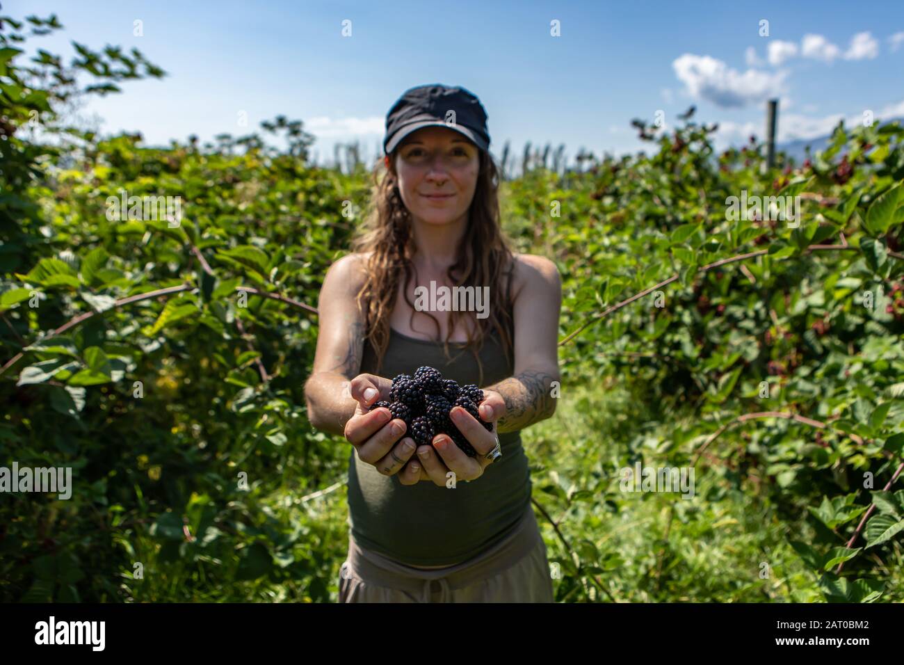 Pregnant fruit black hires stock photography and images Alamy