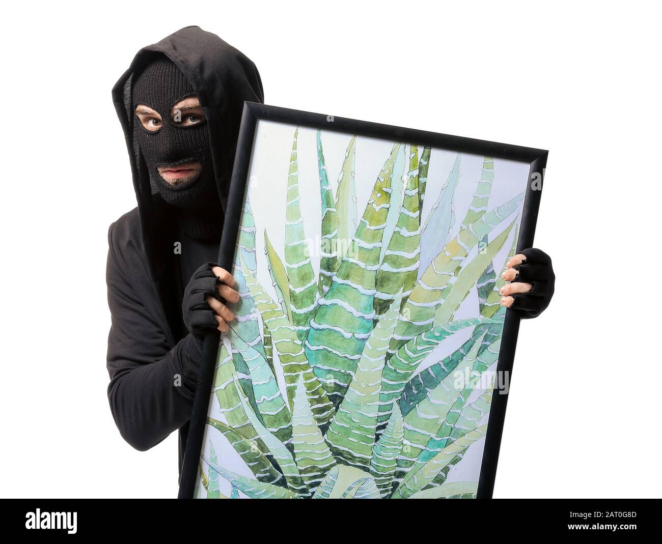 Theft Portrait Example Thief with picture stolen from art gallery on white background Stock ...