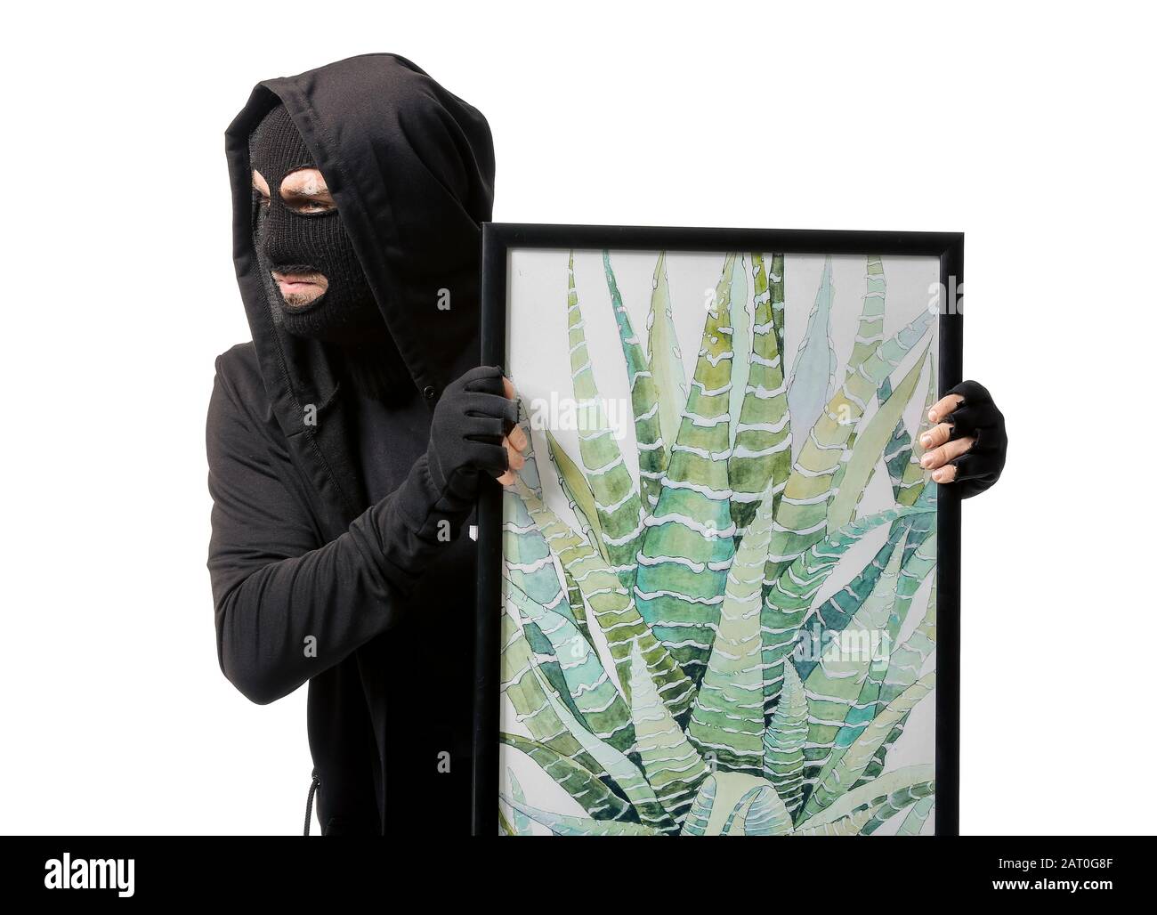 Theft Portrait Example Thief with picture stolen from art gallery on white background Stock ...