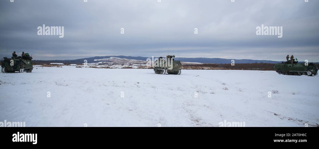 U.S. Marines with 3rd Assault Amphibian Battalion, 3rd Marine Division, conduct a live fire range on Assault Amphibious Vehicles during exercise Northern Viper 2020 at Hokudaien Training Area, Hokkaido, Japan, Jan. 28, 2020. Northern Viper is a regularly scheduled training exercise that is designed to enhance the interoperability of the U.S. and Japan Alliance by allowing Marine Air-Ground Task Forces from III MEF to maintain their lethality and proficiency in MAGTF Combined Arms Operations in cold weather environments. (U.S. Marine Corps photo by Cpl. Cameron E. Parks) Stock Photo