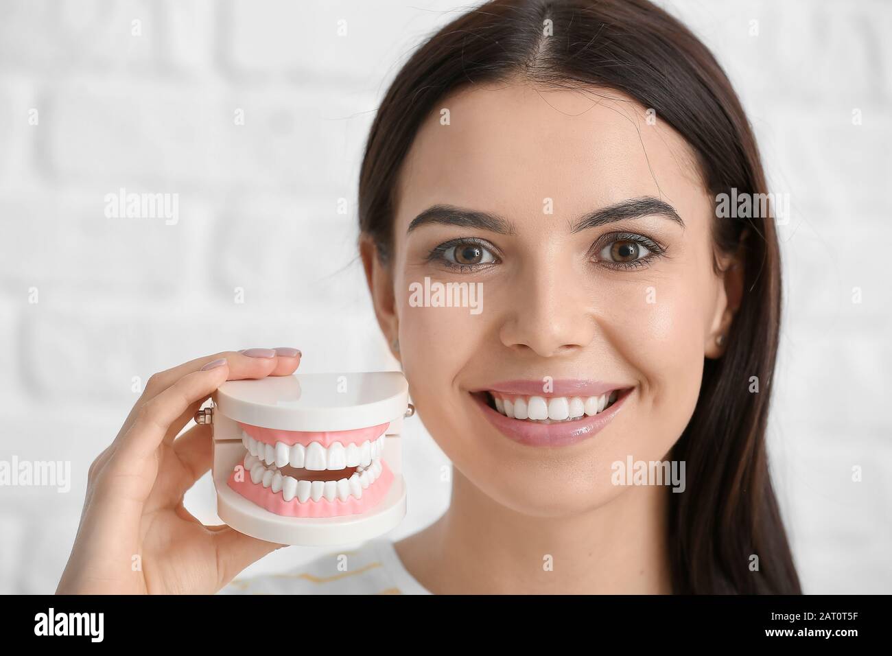 Beautiful young woman with model of jaw on light background Stock Photo
