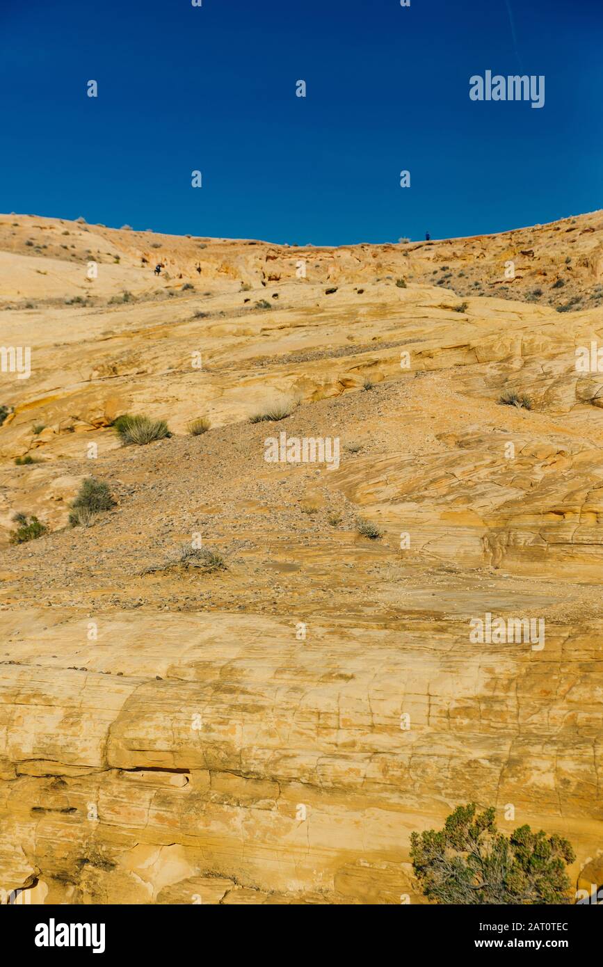 Panoramic view of Fire Canyon Silica Dome in Valley of Fire State Park