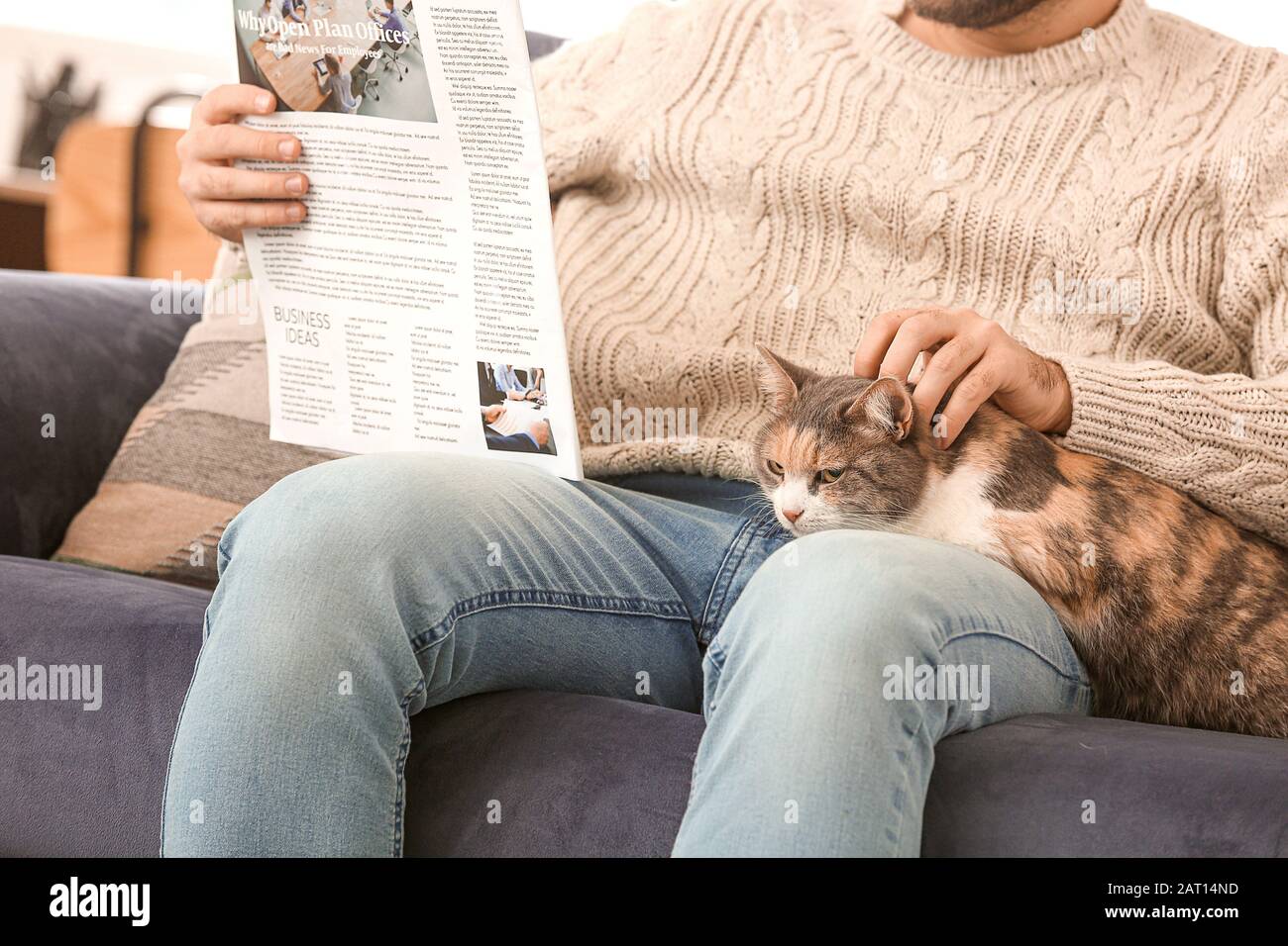 Man with cute cat reading newspaper at home Stock Photo Alamy